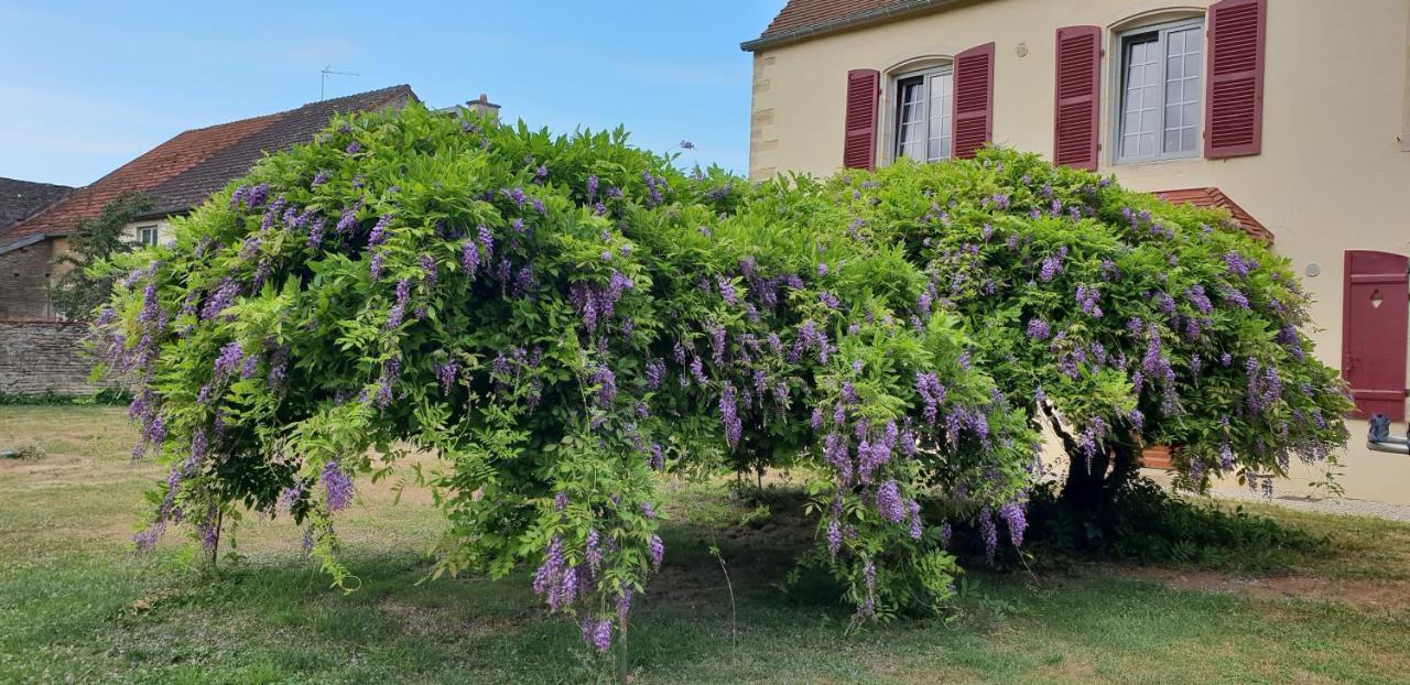 Jungbrunnen Orges Ξενοδοχείο Εξωτερικό φωτογραφία